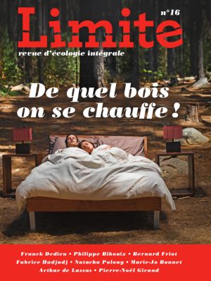 Couverture Limite 16